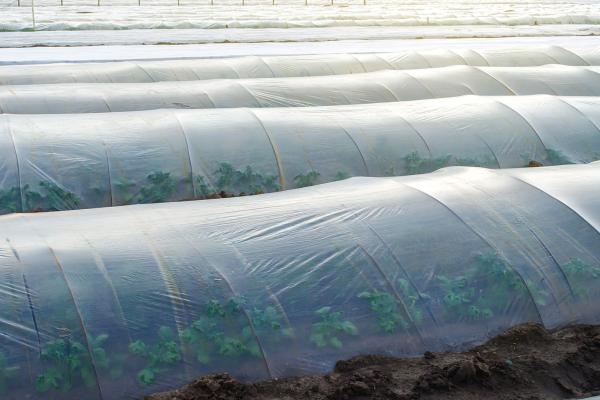 AGRICULTURE 2